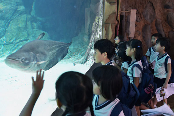 A “Hunting” Excursion at the River Safari